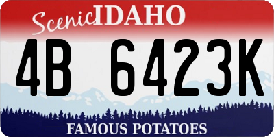 ID license plate 4B6423K