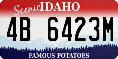ID license plate 4B6423M