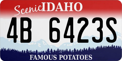 ID license plate 4B6423S