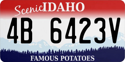 ID license plate 4B6423V