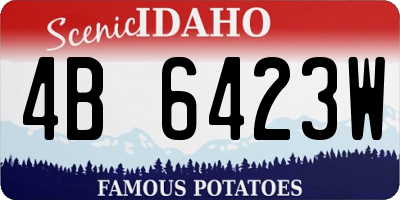 ID license plate 4B6423W