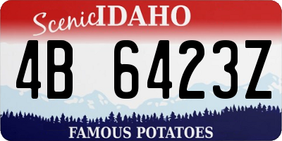 ID license plate 4B6423Z