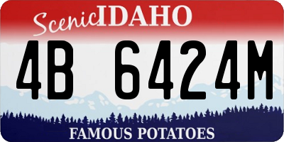ID license plate 4B6424M