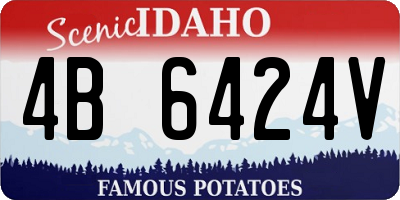 ID license plate 4B6424V