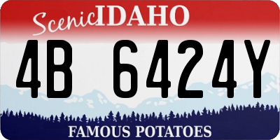 ID license plate 4B6424Y