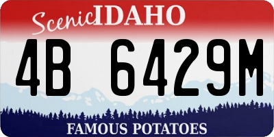 ID license plate 4B6429M
