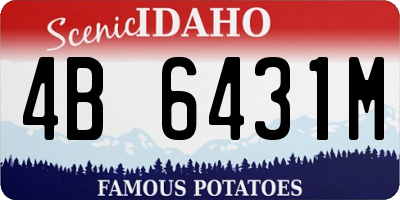 ID license plate 4B6431M