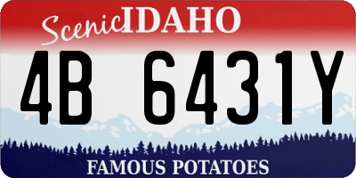ID license plate 4B6431Y