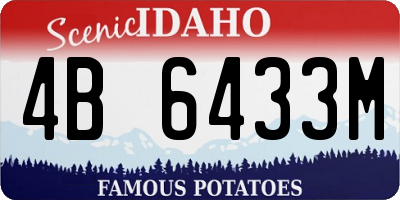 ID license plate 4B6433M