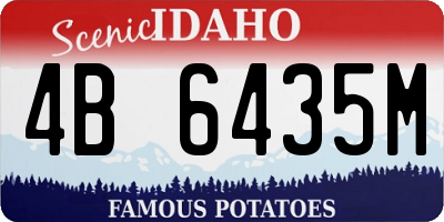 ID license plate 4B6435M