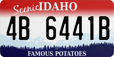 ID license plate 4B6441B