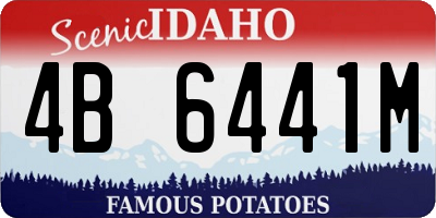 ID license plate 4B6441M