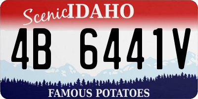 ID license plate 4B6441V