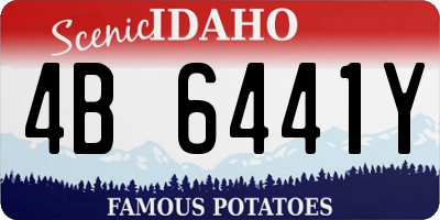 ID license plate 4B6441Y