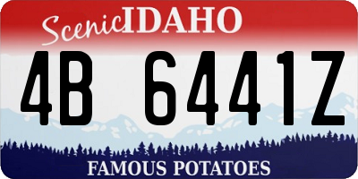 ID license plate 4B6441Z