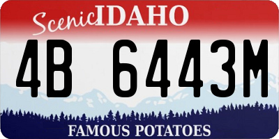 ID license plate 4B6443M