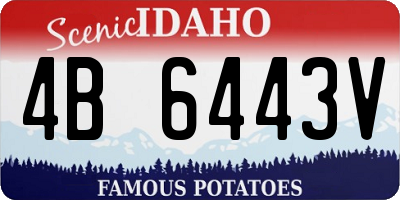 ID license plate 4B6443V