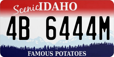 ID license plate 4B6444M