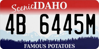 ID license plate 4B6445M