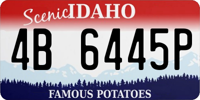 ID license plate 4B6445P