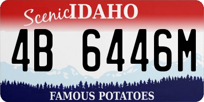 ID license plate 4B6446M
