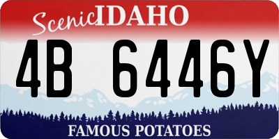 ID license plate 4B6446Y