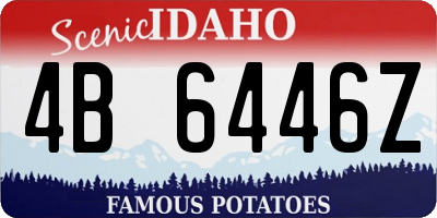 ID license plate 4B6446Z