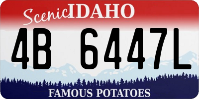 ID license plate 4B6447L