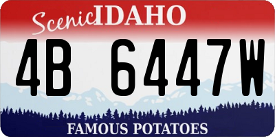 ID license plate 4B6447W