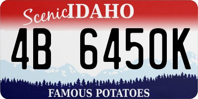 ID license plate 4B6450K