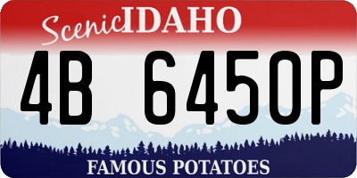 ID license plate 4B6450P