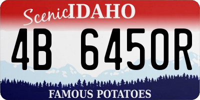 ID license plate 4B6450R