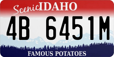 ID license plate 4B6451M