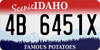ID license plate 4B6451X