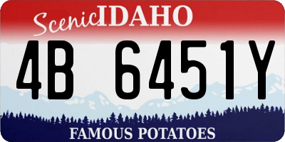 ID license plate 4B6451Y