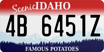 ID license plate 4B6451Z