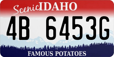 ID license plate 4B6453G
