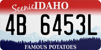 ID license plate 4B6453L