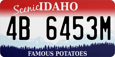 ID license plate 4B6453M