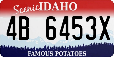 ID license plate 4B6453X