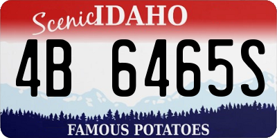 ID license plate 4B6465S