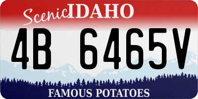 ID license plate 4B6465V