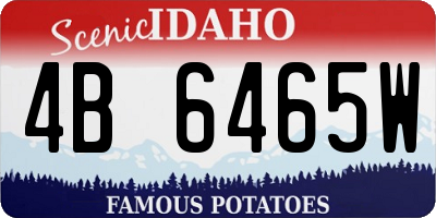 ID license plate 4B6465W