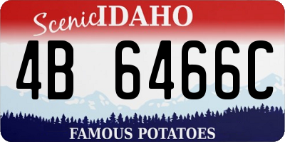 ID license plate 4B6466C