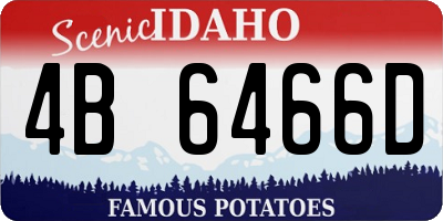 ID license plate 4B6466D