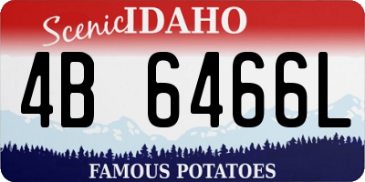 ID license plate 4B6466L