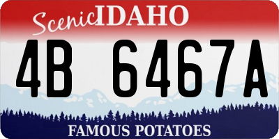 ID license plate 4B6467A