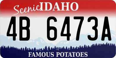 ID license plate 4B6473A