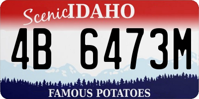 ID license plate 4B6473M