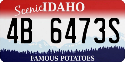 ID license plate 4B6473S